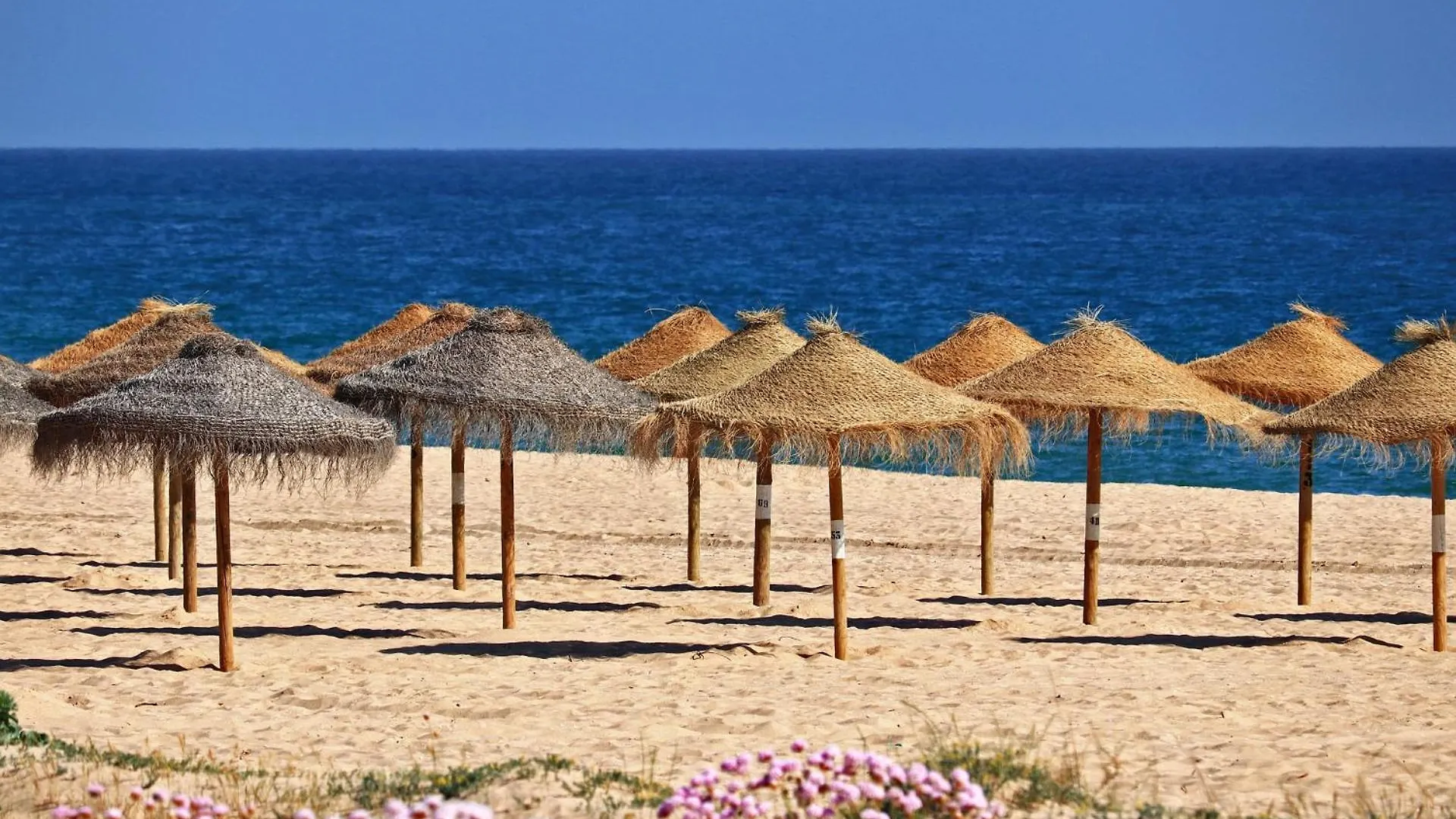 Centralgarve - Stunning Beach Front Studio - Astro Quarteira